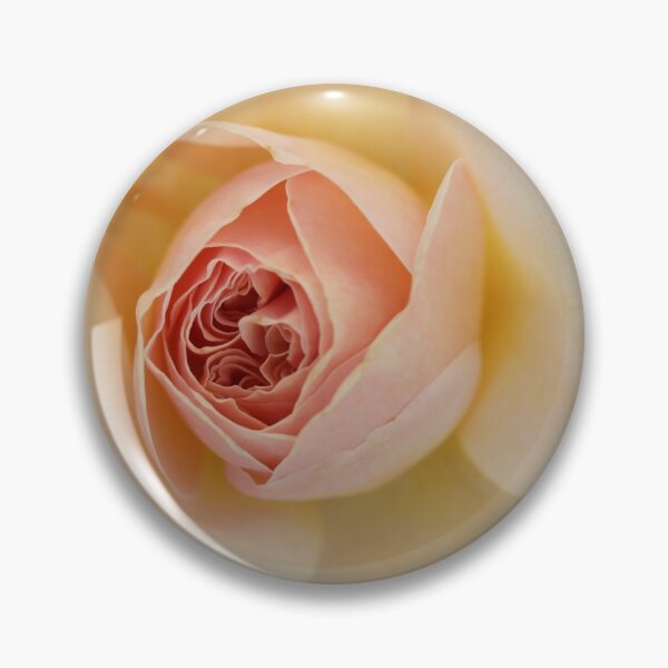 Item preview, St. Tropez Rose designed and sold by StampCity.