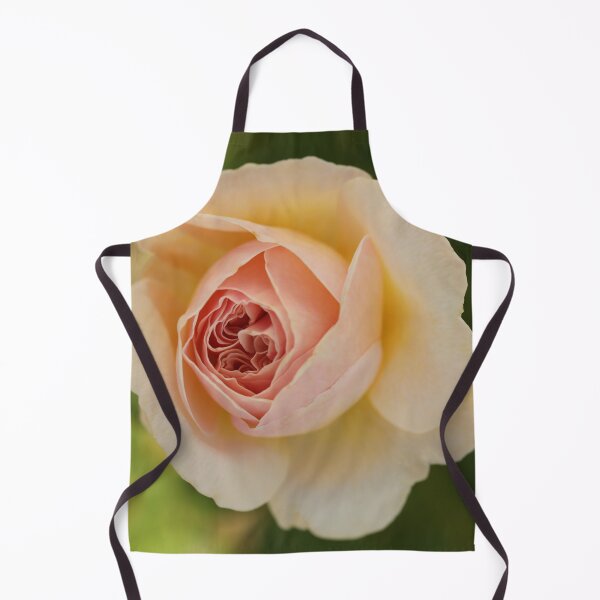 Item preview, St. Tropez Rose designed and sold by StampCity.