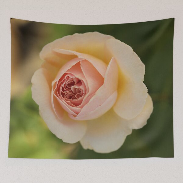 Item preview, St. Tropez Rose designed and sold by StampCity.