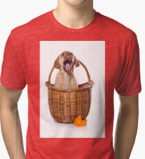 Funny brown puppy retriever Tri-blend T-Shirt
