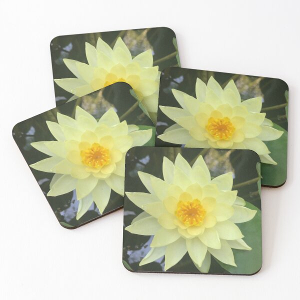 Item preview, Water lily designed and sold by Iran78.