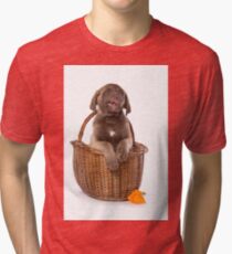 Funny brown puppy retriever Tri-blend T-Shirt