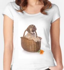 Funny brown puppy retriever Women's Fitted Scoop T-Shirt