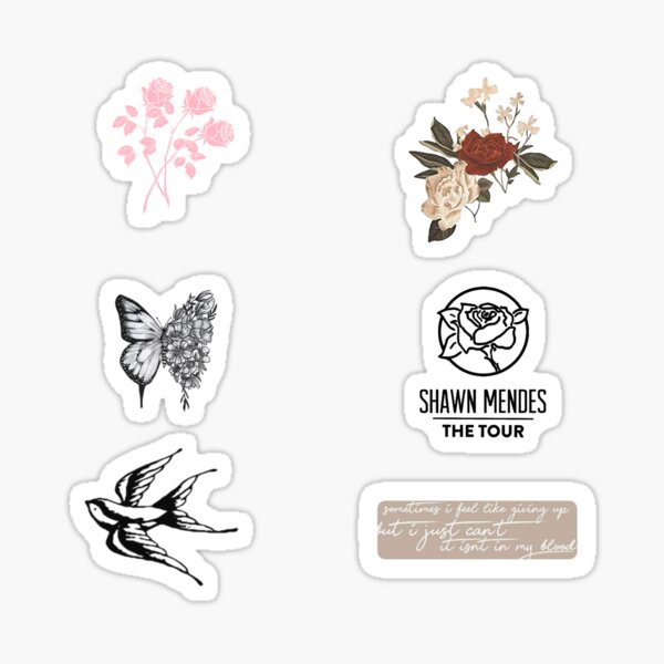 Shawn Mendes stickers pack Pegatina brillante