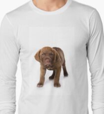 Funny brown puppy retriever Long Sleeve T-Shirt