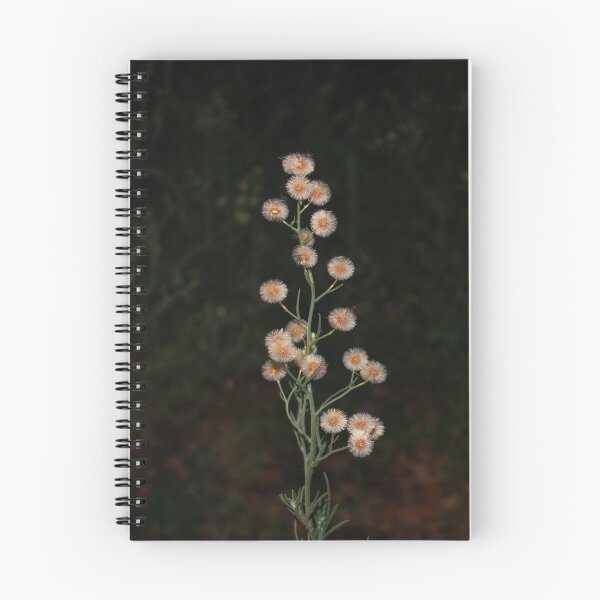 Aperçu de l'œuvre Fleurs à contraste élevé créée et vendue par turingtested.