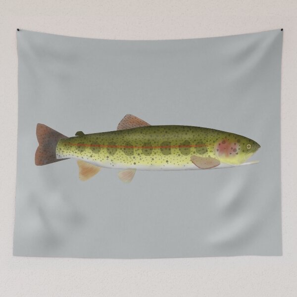Artikelvorschau, Redband Forelle entworfen und verkauft von fishfolkart.