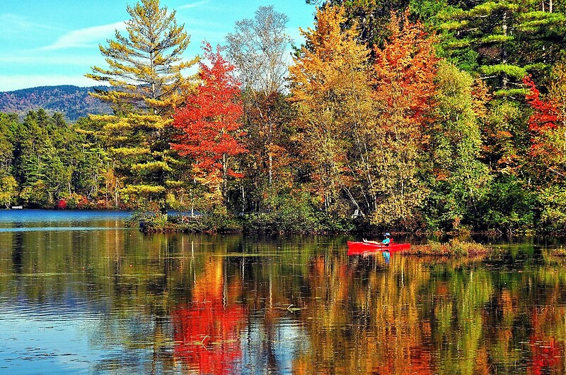 "Norway, Maine" by fauselr Redbubble