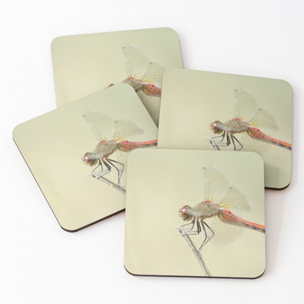 Item preview, A red Meadowhawk dragonfly designed and sold by rodmacpherson.