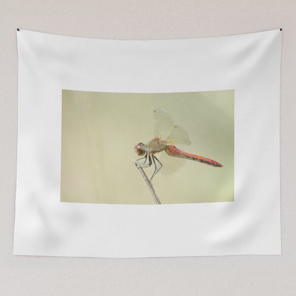 Item preview, A red Meadowhawk dragonfly designed and sold by rodmacpherson.