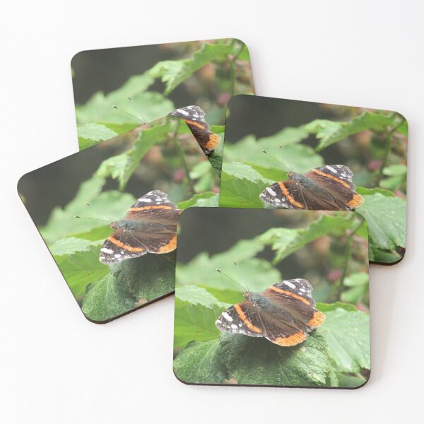 Item preview, Red admiral (Vanessa atalanta) on brambles designed and sold by joshuarainbird.