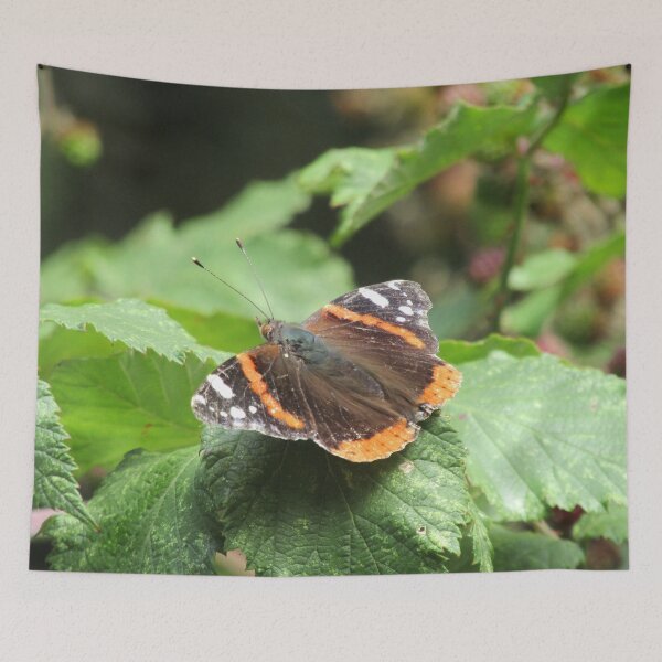 Item preview, Red admiral (Vanessa atalanta) on brambles designed and sold by joshuarainbird.