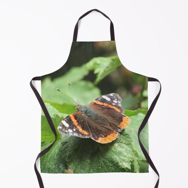 Item preview, Red admiral (Vanessa atalanta) on brambles designed and sold by joshuarainbird.