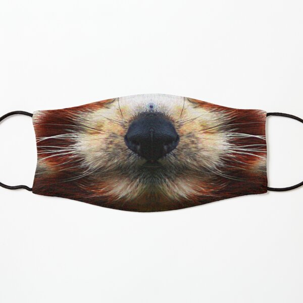 Red Panda Face Photo Facemask Kids Mask