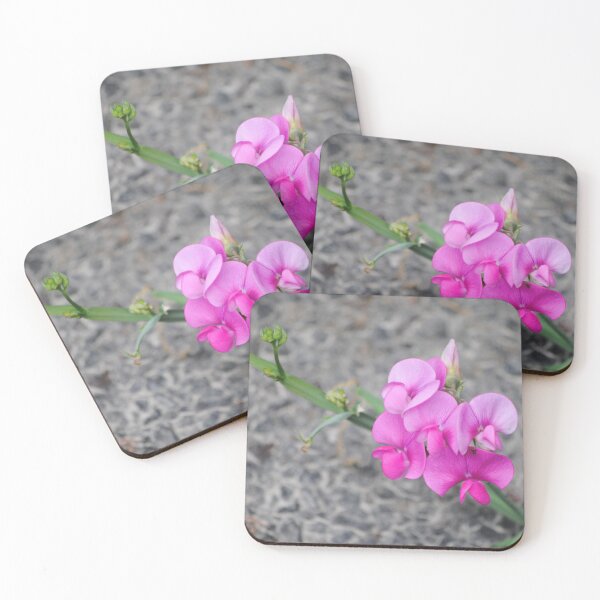Item preview, Flowers on Concrete designed and sold by Tamara McDonnell.