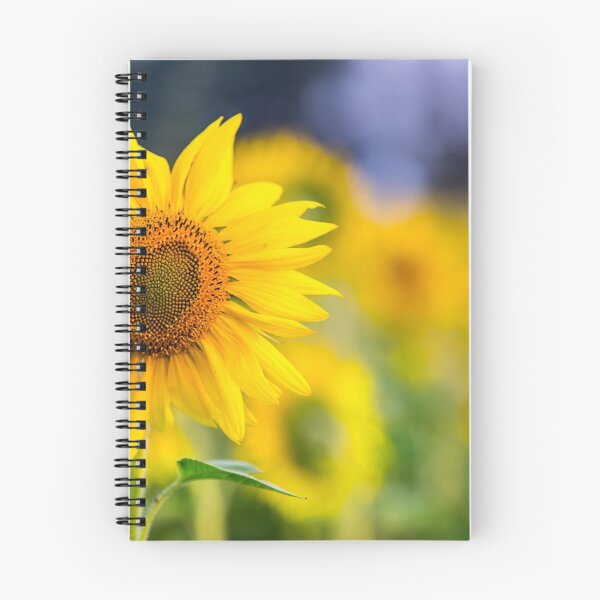 Item preview, Sunflower field designed and sold by Pandita in paradise.
