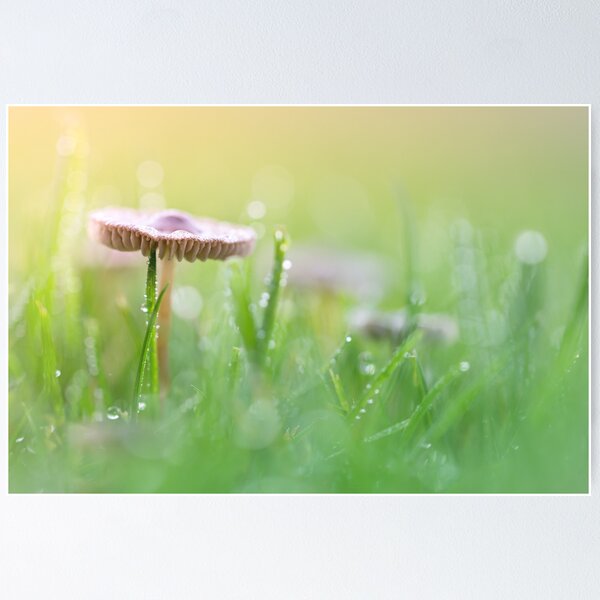 Item preview, Got the sun on my head.... and it feels good! designed and sold by Bob Daalder Photography.