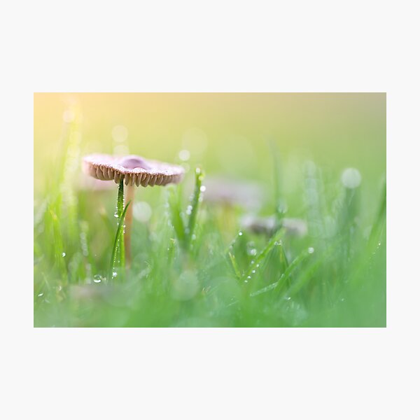 Item preview, Got the sun on my head.... and it feels good! designed and sold by Bob Daalder Photography.