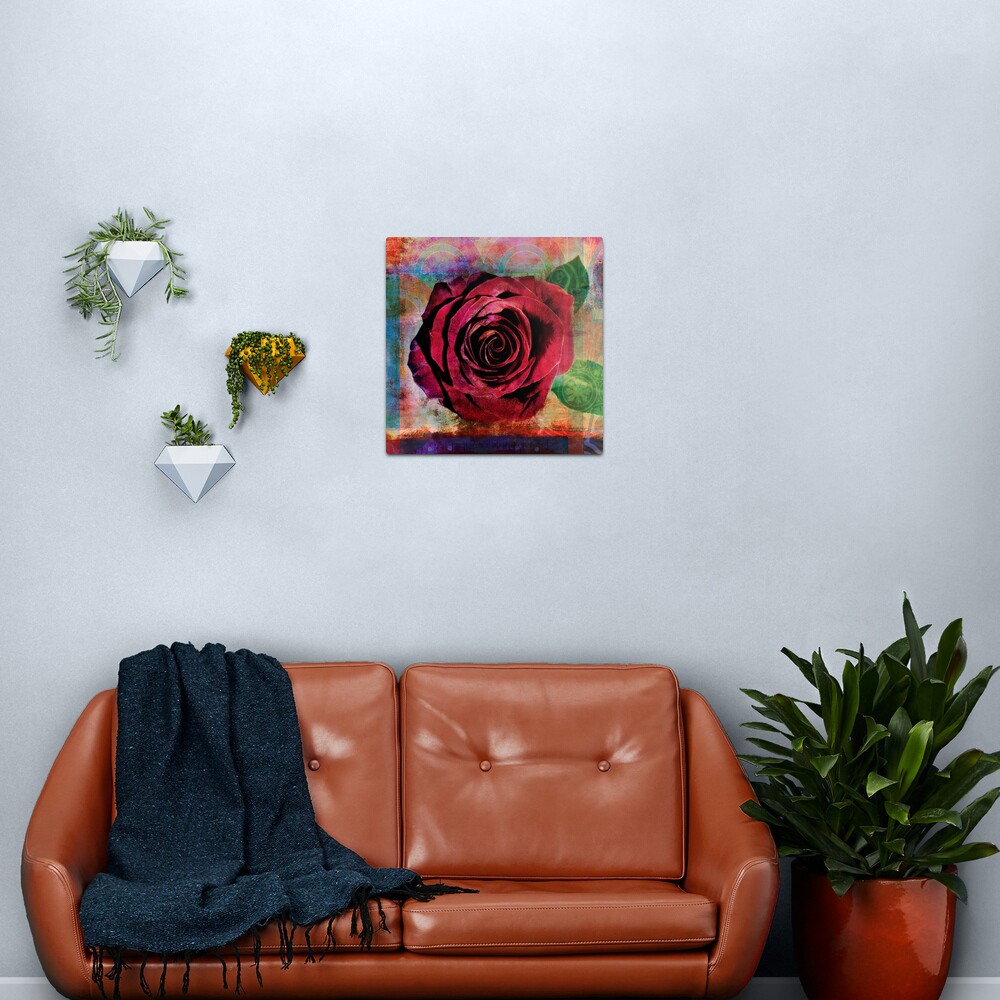 Red Rose Metal Print