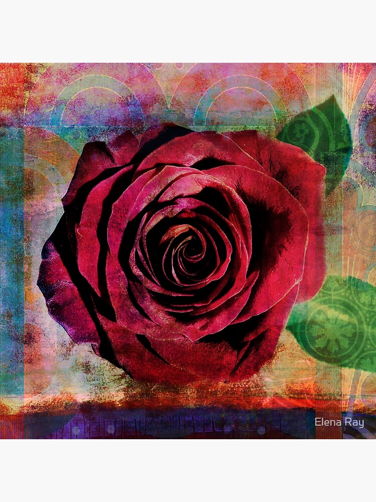 Red Rose by ElenaRay