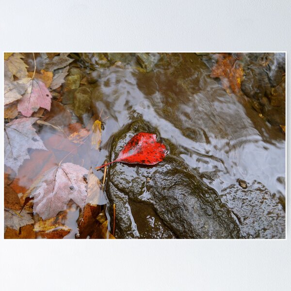 red Poster