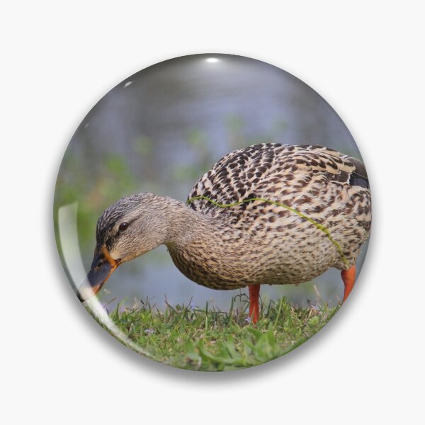 Item preview, Female Mallard Duck designed and sold by Cynthia48.