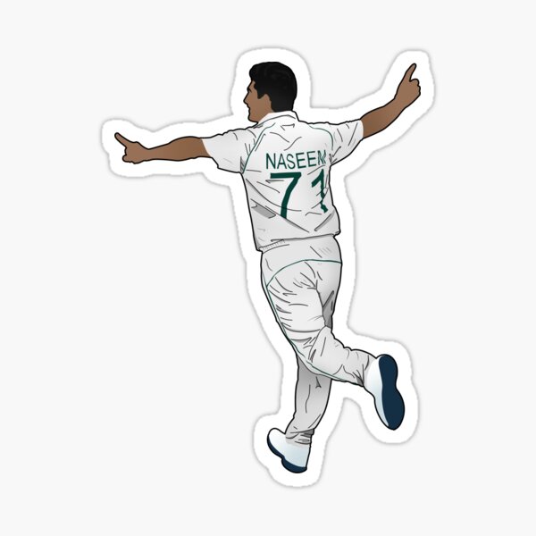&ldquo;Naseem Shah&rdquo; Sticker for Sale by HitFor6 | Redbubble