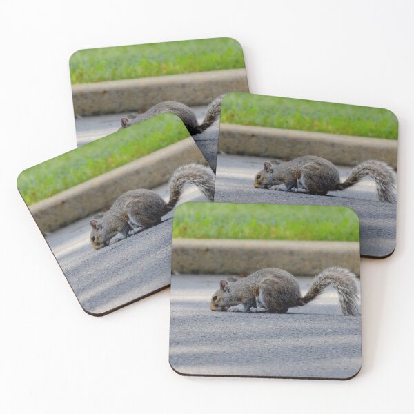 Item preview, Kissing the Pavement designed and sold by Tessia Photography.