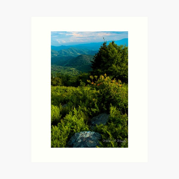 Appalachia Greening Art Print