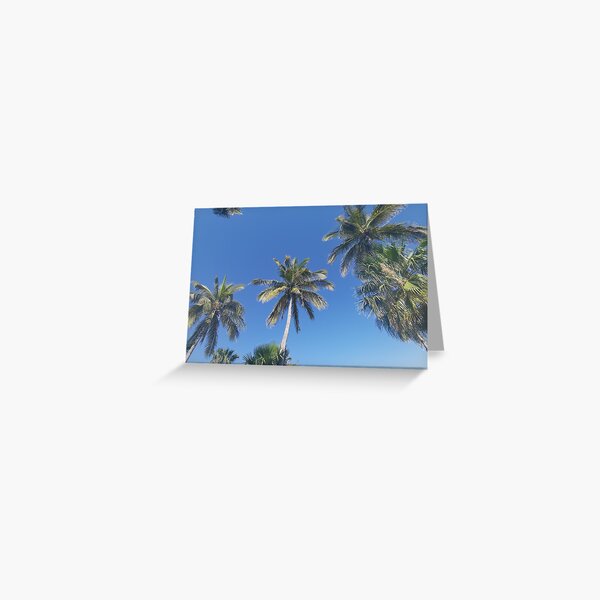 Palm-trees Eternal summer Greeting Card