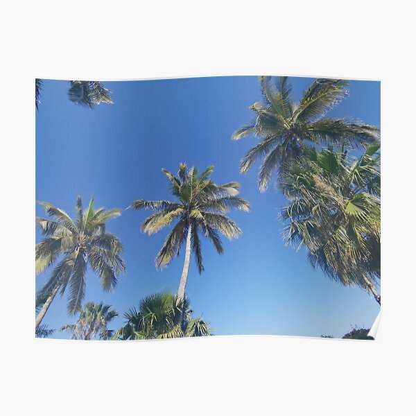 Palm-trees Eternal summer Poster