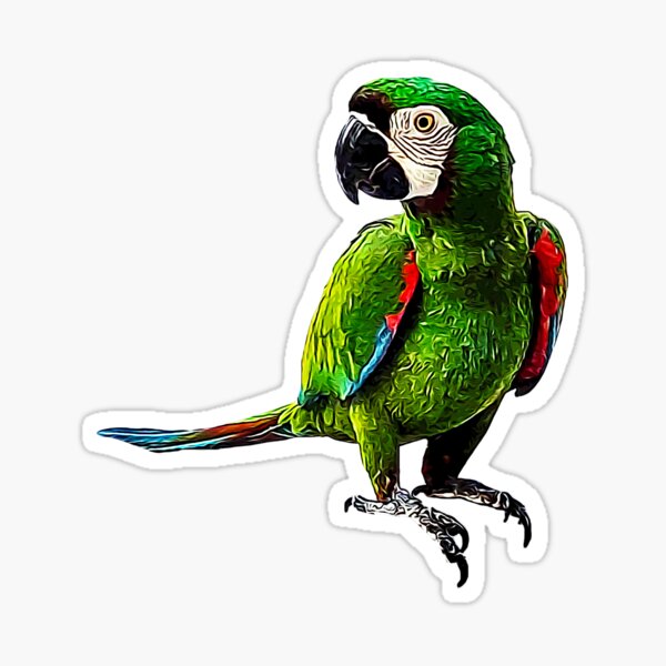 Severe Macaw - Beautiful Chestnut Fronted Macaw Parrot Sticker