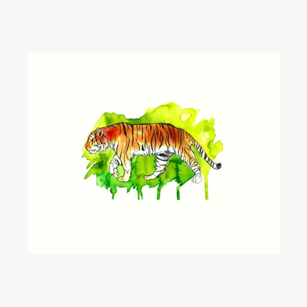 Tiger Watercolor Art Print