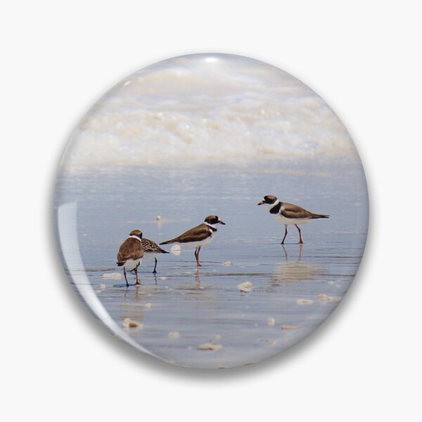 Item preview, Sand Pipers designed and sold by Islandjunkie09.