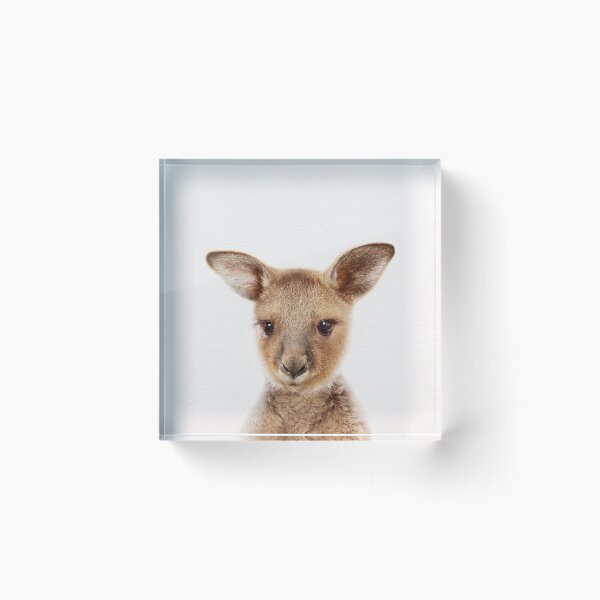 Item preview, Baby Kangaroo, Baby Animals Art Print by Synplus designed and sold by synplus.