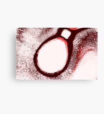 y8vis1t5l6tn5jrg #20 (Bernie the Bulb) Canvas Print