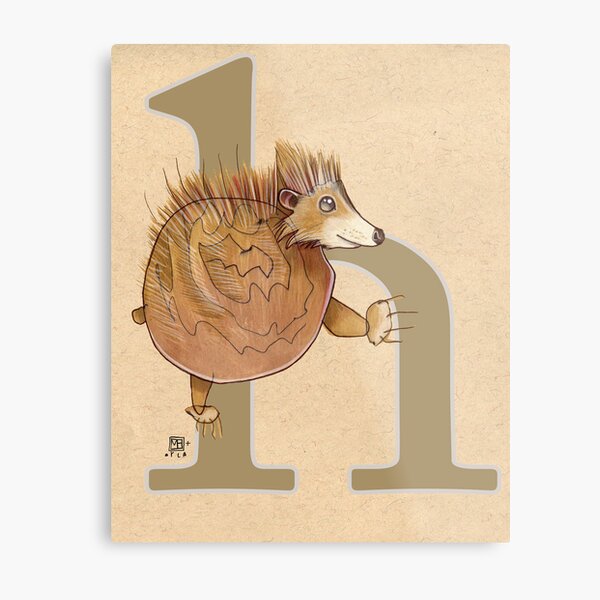 H is for HEDGEHOG Metal Print