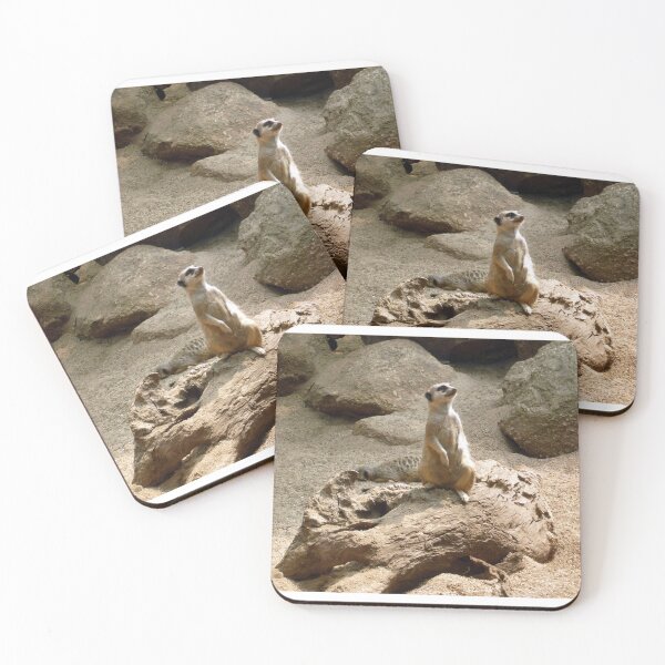 Item preview, Meercat ... on alert! designed and sold by Roz McQuillan Fine Art & Photography.