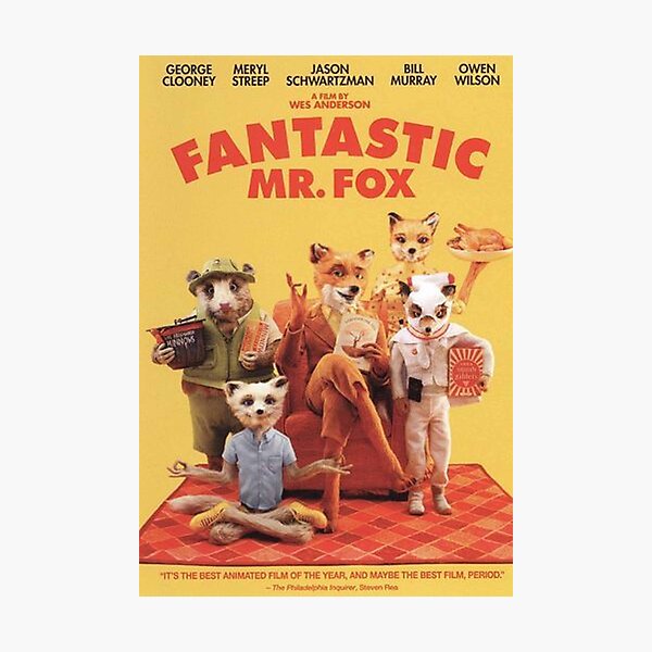 fantastic mr.fox Photographic Print