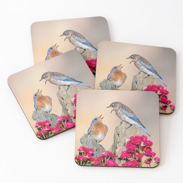 Item preview, Eastern Bluebird designed and sold by (Tallow) Dave  Van de Laar.