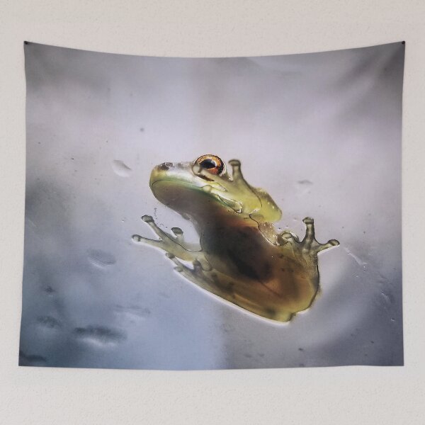 Item preview, Feeling Froggy designed and sold by Dead-Moroz.