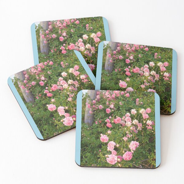 Item preview, Dorothy Perkins Vintage Rambling Pink Rose Photo designed and sold by Sarah  Rajkotwala.