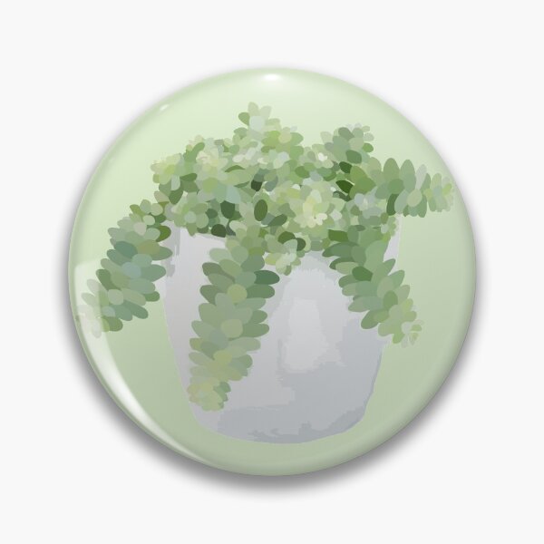 Item preview, Burros Tail Plant designed and sold by rosarosedesigns.