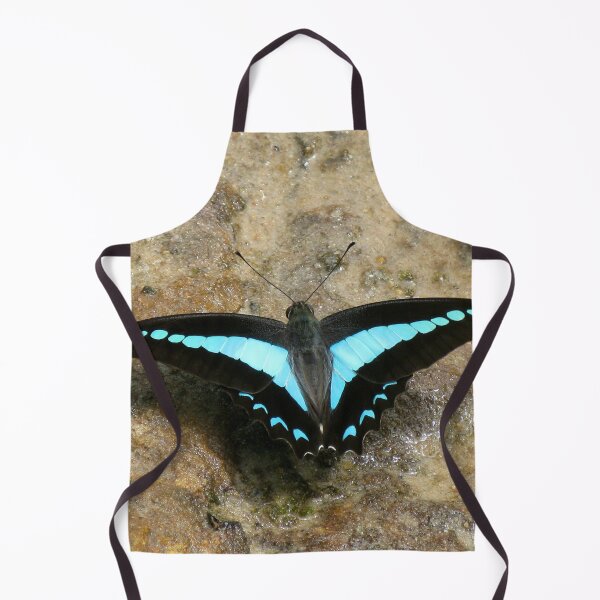 Item preview, Blue Triangle Butterfly (Graphium sarpedon choredon) designed and sold by Marilyn Harris.