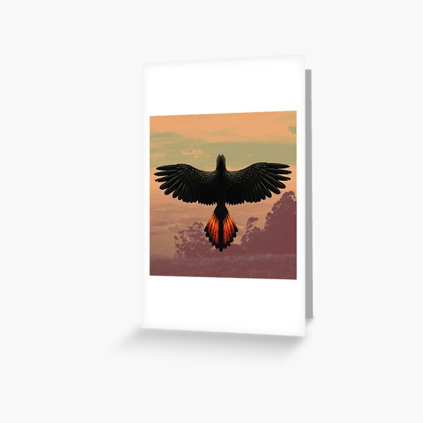 Item preview, Red-Tailed Black Cockatoo - Australian Bird designed and sold by Samuel Hardidge.