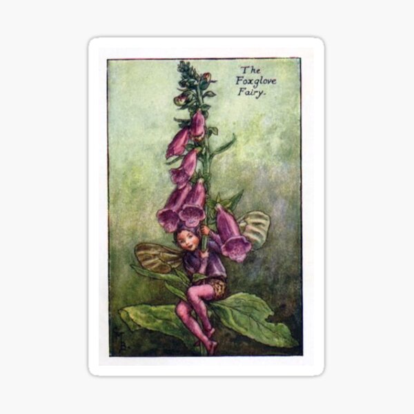 The Foxglove Fairy” by Cicely Mary Barker 