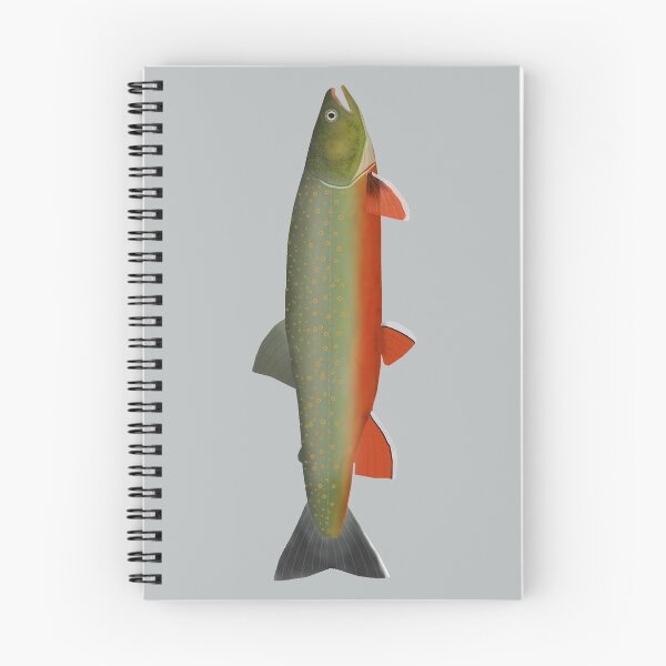 Item preview, Dolly Varden Trout designed and sold by fishfolkart.