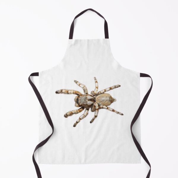 Item preview, Spider crawl designed and sold by lacm2020.