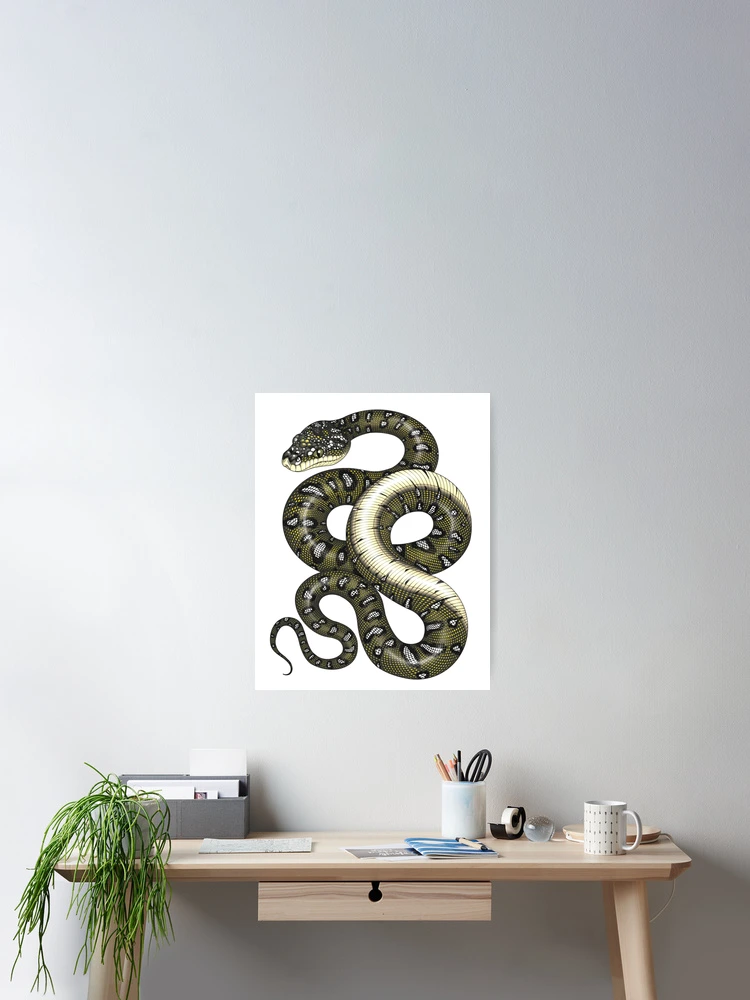Thumbnail 2 of 3, Poster, Diamond Python designed and sold by miss-varanus.