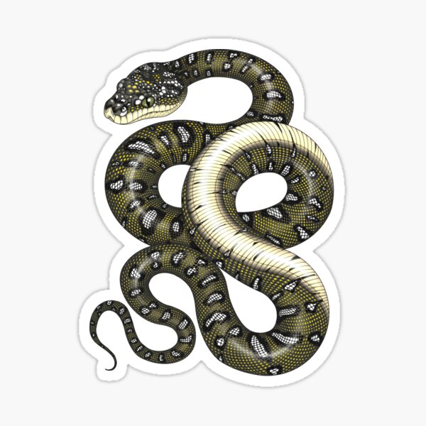 Item preview, Diamond Python  designed and sold by miss-varanus.